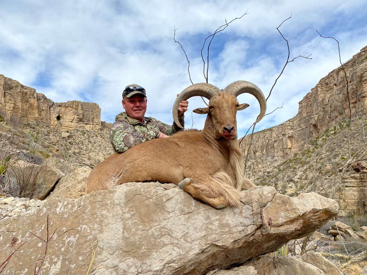 Unit 29 & 30 Hunts Barbary Sheep Hunting in New Mexico